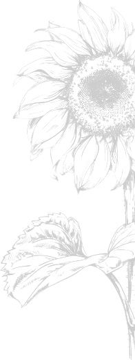 image-bg-02